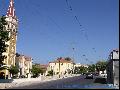 Argassi