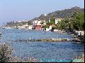 Argassi
