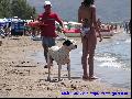 Laganasi strand