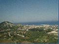 Zakynthos vros (madr vagy inkbb Malv tvlatbl)