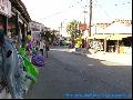Argassi