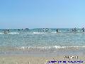 Laganas