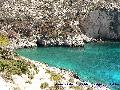 Limnionas