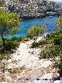 Limnionas
