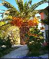 Planos garden