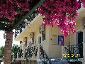 Odysseus apartman Tsilivi