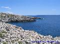 Limnionas