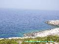 Limnionas