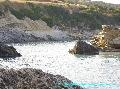 Xigia