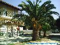 Alexandros apartman