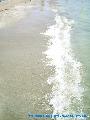 Laganas hullm
