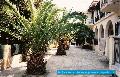 Odsseus apartman