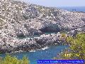 Limnionas