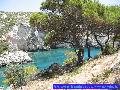 Limnionas