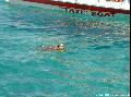 Caretta-Caretta